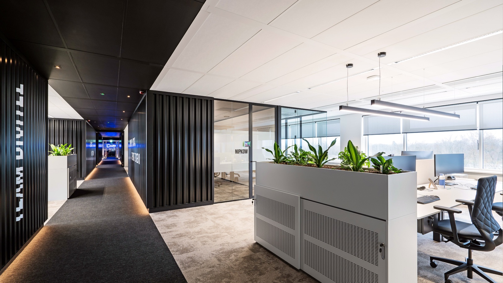 Strategy & Consulting