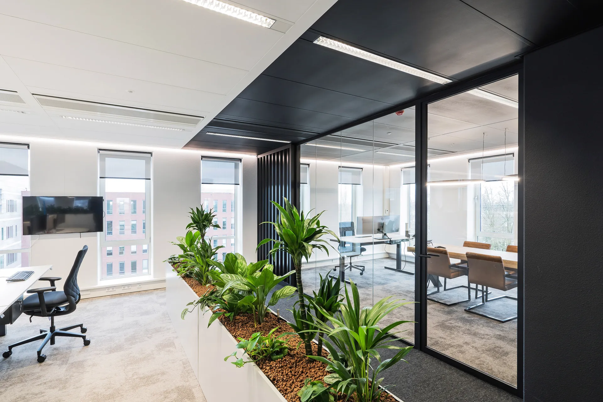 Divitel office interior with glass walls and planters