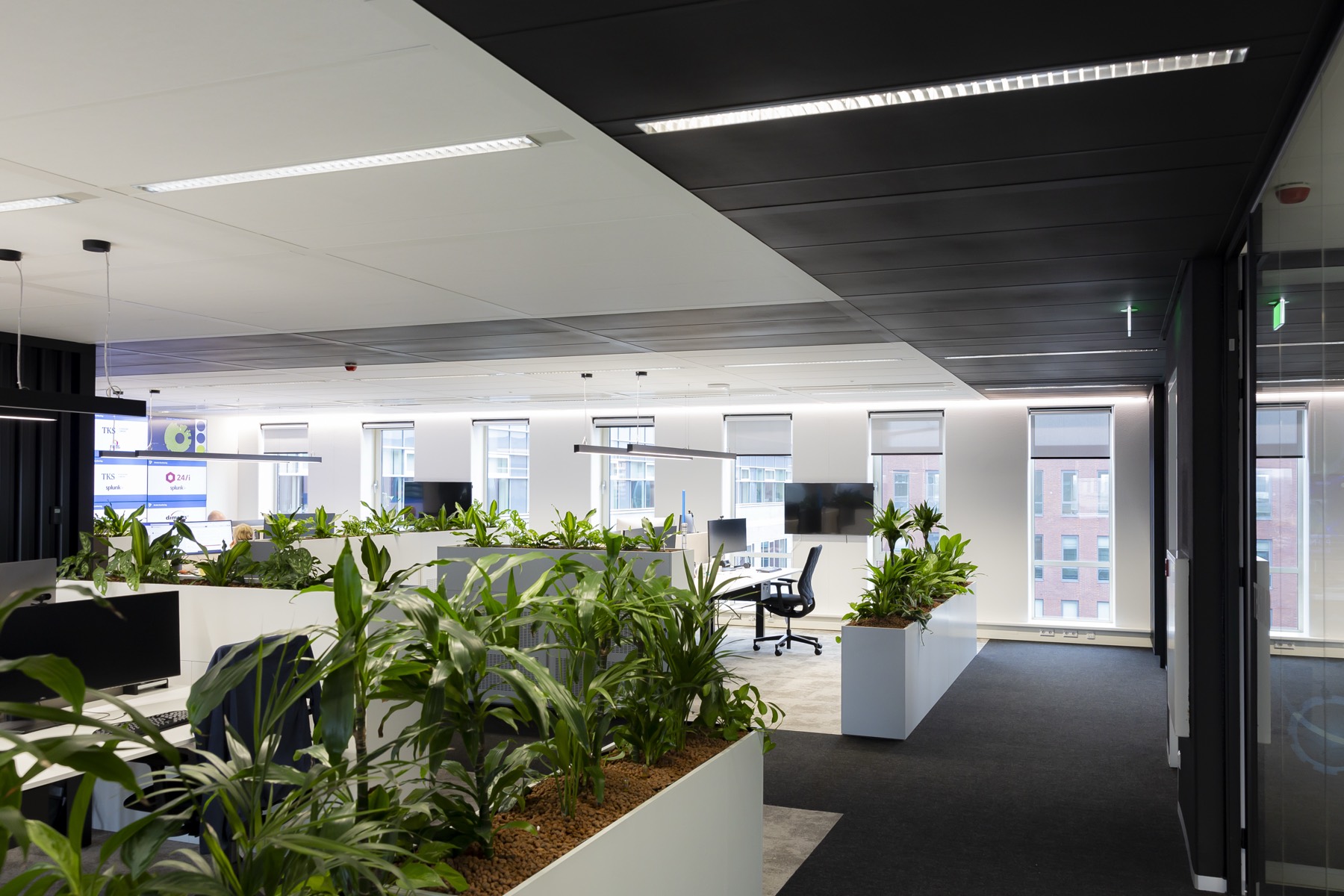 Divitel office workspace in Apeldoorn