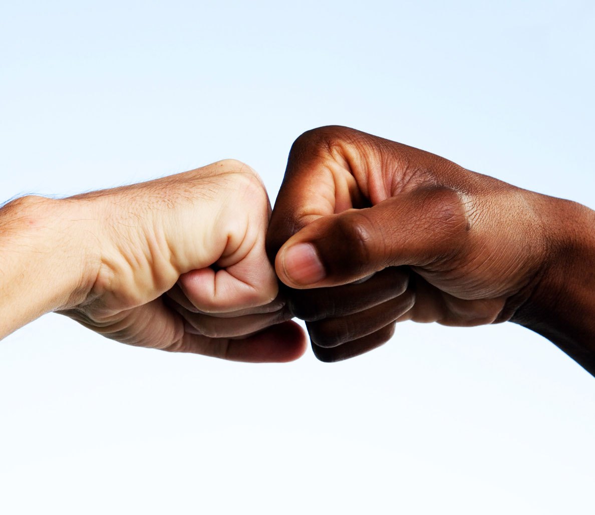 Dimetis and Divitel join forces