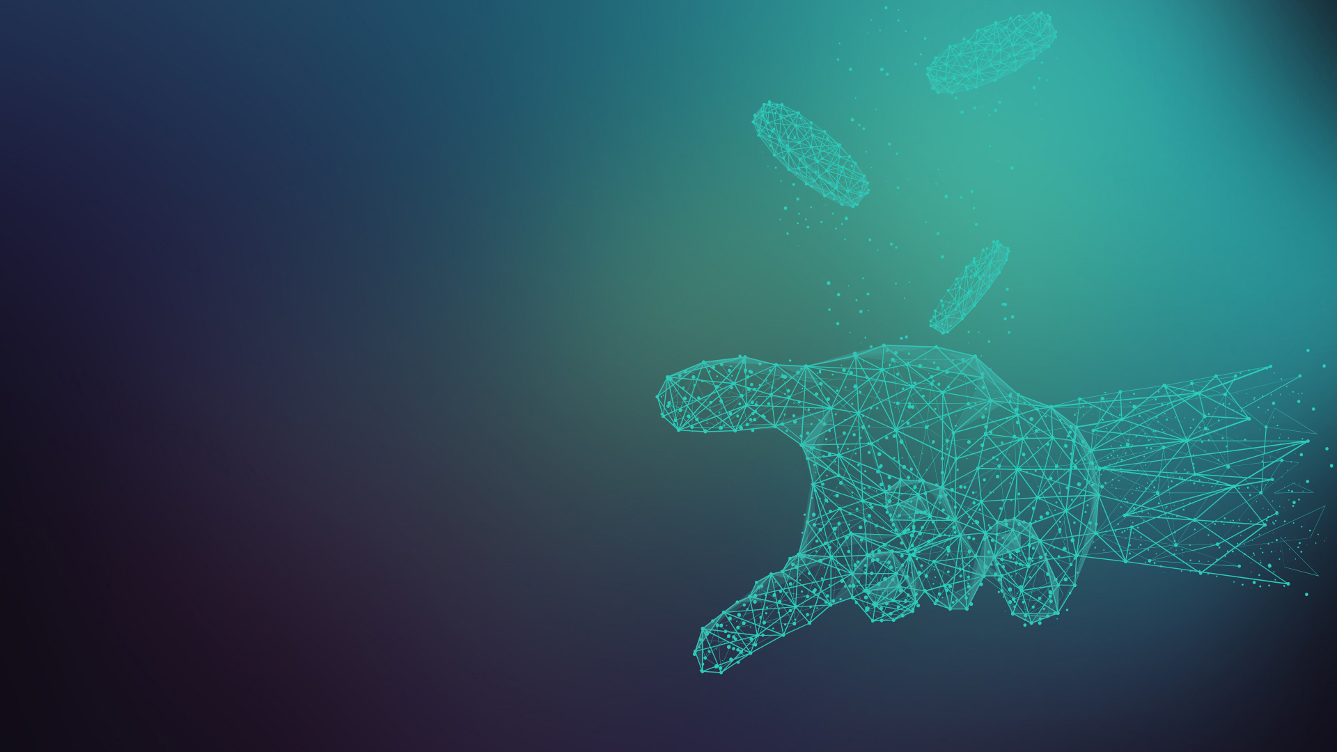 Video delivery operations - from honey pit to honey pot